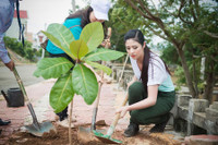 [ẢNH] Ngày ấy – bây giờ của những Hoa hậu từng gây tranh cãi nhất lịch sử