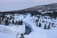 [ẢNH] 3 địa điểm 'chìm' trong tuyết nhưng vẫn hút du khách nhất Nhật Bản