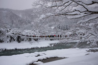 [ẢNH] 3 địa điểm 'chìm' trong tuyết nhưng vẫn hút du khách nhất Nhật Bản