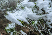 [ẢNH] Ngắm khung cảnh lần đầu tiên băng tuyết phủ trắng đỉnh Mẫu Sơn trong năm 2021