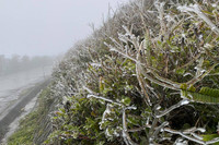 [ẢNH] Ngắm khung cảnh lần đầu tiên băng tuyết phủ trắng đỉnh Mẫu Sơn trong năm 2021