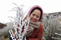 [ẢNH] Ngắm khung cảnh lần đầu tiên băng tuyết phủ trắng đỉnh Mẫu Sơn trong năm 2021