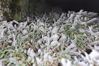 [ẢNH] Ngắm khung cảnh lần đầu tiên băng tuyết phủ trắng đỉnh Mẫu Sơn trong năm 2021