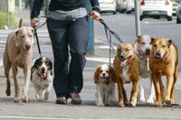 [ẢNH] Những công việc lạ lùng nhưng có thu nhập rất cao trên thế giới