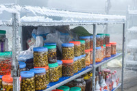 [ẢNH] Ngắm khung cảnh lần đầu tiên băng tuyết phủ trắng đỉnh Mẫu Sơn trong năm 2021