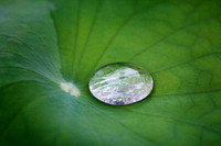 [ẢNH] Khám phá những vật liệu kỳ lạ nhất hành tinh