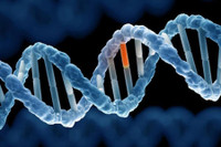 [ẢNH] Giải mã bí ẩn về những người không có dấu vân tay