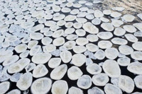 [ẢNH] Những hiện tượng băng tuyết cực hiếm trên thế giới