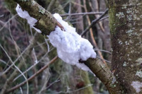 [ẢNH] Những hiện tượng băng tuyết cực hiếm trên thế giới