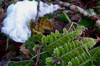 [ẢNH] Những hiện tượng băng tuyết cực hiếm trên thế giới