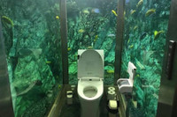 [ẢNH] Những thiết kế nhà vệ sinh độc lạ khiến bạn không tin là chúng có thật