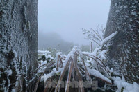 [ẢNH] Ngắm khung cảnh lần đầu tiên băng tuyết phủ trắng đỉnh Mẫu Sơn trong năm 2021