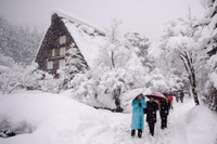 [ẢNH] 3 địa điểm 'chìm' trong tuyết nhưng vẫn hút du khách nhất Nhật Bản