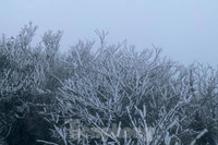 [ẢNH] Ngắm khung cảnh lần đầu tiên băng tuyết phủ trắng đỉnh Mẫu Sơn trong năm 2021