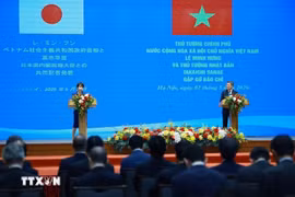 Đưa quan hệ Đối tác Chiến lược Toàn diện Việt Nam-Nhật Bản tiến vào giai đoạn phát triển mới