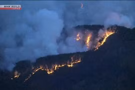 Cháy rừng lan rộng tại Nhật Bản, hàng nghìn người dân phải sơ tán