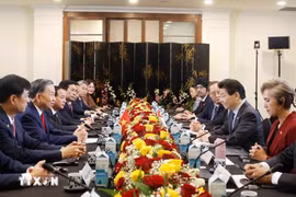 Việt Nam - Singapore thúc đẩy trụ cột hợp tác khoa học công nghệ và đổi mới sáng tạo