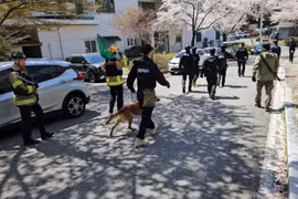 Hàn Quốc huy động hàng trăm cảnh sát và quân nhân vào cuộc truy tìm chó sói sổng chuồng