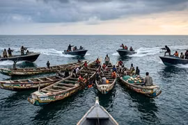 Ghana giải cứu thành công 71 ngư dân bị cướp biển tấn công