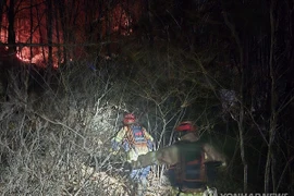 Chiến đấu cơ F-16C Hàn Quốc gặp nạn, phi công mắc kẹt trên cây cao 20m