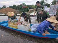 ngaplut1.jpg