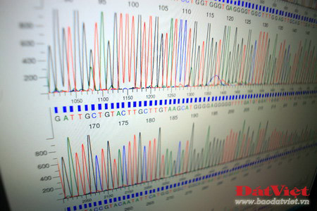 Phòng giám đinh nhận dạng ADN của Viện Pháp y Quân đội được chuyển giao kỹ thuật từ phòng giám đinh nhận dạng ADN của quân đội Mỹ (Armed Force DNA Identification Laboratory - AFDIL), và trước đó là của Viện Công nghệ Sinh học - thuộc Viện Khoa học Việt Nam. Nơi đây trang bị hàng chục loại máy móc hiện đại khác nhau như máy nhân gien, máy li tâm, máy điện di, máy giải trình tự AND… Có hai phương pháp phân tích ADN thường được sử dụng, đó là phân tích ADN nhân và phân tích ADN ty thể, trong đó phương pháp thứ hai đang được lựa chọn sử dụng trong giám định hài cốt liệt sĩ ở Viện Pháp y Quân đội. Việc thực hiện giám định được thực hiện trên cơ sở lấy mẫu ADN từ hài cốt liệt sĩ để đối chiếu với mẫu thân nhân - được lấy của những người có quan hệ theo dòng mẹ với liệt sĩ. Quá trình tách chiết mẫu sinh phẩm từ hài cốt là khâu quan trọng, quyết định sự thành công hay thất bại của quá trình phân tích ADN. Mẫu sinh phẩm sau khi tách chiết được chứa trong những lọ nhỏ xếp trong khay. Sau khi tách chiết, mẫu được đưa vào máy giải trình tự ADN – được coi là “linh hồn” của Labo, được kết nối với máy tính. Chiếc máy này có thể xử lý cùng lúc nhiều mẫu sinh phẩm. Kết quả của quá trình giải trình tự ADN sẽ hiển thị trên máy tính, từ đó các chuyên gia sẽ đối chiếu để xác định hài cốt có đúng là liệt sĩ của gia đình yêu cầu thực hiện giám định hay không. So với phương pháp phân tích ADN nhân, phân tích ADN ty thể là phương pháp đạt tỉ lệ chính xác cao hơn, nhưng cũng rất phức tạp và tốn kém hơn nhiều. Chỉ tính riêng chi phí dành cho các loại hóa nhất nhập từ nước ngoài đã lên đến 10-15 triệu đồng cho mỗi ca giám định. Thời gian để hoàn thành mỗi ca giám định kéo dài 4 – 6 tuần. Theo ThS. Nguyễn Lê Cát, có rất nhiều trường hợp thân nhân liệt sĩ mang mẫu đến giám định tại Viện Pháp y Quân đội dựa vào phương pháp ngoại cảm - một phương pháp có lẽ được áp dụng duy nhất tại Việt Nam, không có bất cứ một nước nào trên thế giới áp dụng. Một số gia đình đã đem đến những mẩu xương tìm được bằng phương pháp ngoại cảm, được cho là của liệt sĩ, nhưng thực chất không phải xương người. Tỉ lệ chính xác của phương pháp xác định hài cốt liệt sĩ bằng ngoại cảm là rất thấp. Việc giám định gien là phương pháp đáng tin cậy nhất nhất giúp gia đình liệt sĩ xác định đúng danh tính người thân để đưa về nơi chôn rau cắt rốn. Đó là niềm hạnh phúc vô cùng to lớn đối với gia đình và họ hàng của liệt sĩ. Có thể ví von, mỗi ca giám định thành công là một sự “khai sinh lần thứ hai” đối với liệt sĩ. Chị Nguyễn Thị Hoa, một nhân viên giám định của Viện Pháp y Quân đội chia sẻ về công việc của mình: “Đây là một việc làm rất thiết thực với các gia đình liệt sĩ nói riêng, cũng như toàn thể xã hội nói chung. Tôi rất yêu quý và trân trọng công việc mà mình đang được giao phó”.