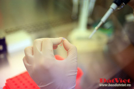 Phòng giám đinh nhận dạng ADN của Viện Pháp y Quân đội được chuyển giao kỹ thuật từ phòng giám đinh nhận dạng ADN của quân đội Mỹ (Armed Force DNA Identification Laboratory - AFDIL), và trước đó là của Viện Công nghệ Sinh học - thuộc Viện Khoa học Việt Nam. Nơi đây trang bị hàng chục loại máy móc hiện đại khác nhau như máy nhân gien, máy li tâm, máy điện di, máy giải trình tự AND… Có hai phương pháp phân tích ADN thường được sử dụng, đó là phân tích ADN nhân và phân tích ADN ty thể, trong đó phương pháp thứ hai đang được lựa chọn sử dụng trong giám định hài cốt liệt sĩ ở Viện Pháp y Quân đội. Việc thực hiện giám định được thực hiện trên cơ sở lấy mẫu ADN từ hài cốt liệt sĩ để đối chiếu với mẫu thân nhân - được lấy của những người có quan hệ theo dòng mẹ với liệt sĩ. Quá trình tách chiết mẫu sinh phẩm từ hài cốt là khâu quan trọng, quyết định sự thành công hay thất bại của quá trình phân tích ADN. Mẫu sinh phẩm sau khi tách chiết được chứa trong những lọ nhỏ xếp trong khay. Sau khi tách chiết, mẫu được đưa vào máy giải trình tự ADN – được coi là “linh hồn” của Labo, được kết nối với máy tính. Chiếc máy này có thể xử lý cùng lúc nhiều mẫu sinh phẩm. Kết quả của quá trình giải trình tự ADN sẽ hiển thị trên máy tính, từ đó các chuyên gia sẽ đối chiếu để xác định hài cốt có đúng là liệt sĩ của gia đình yêu cầu thực hiện giám định hay không. So với phương pháp phân tích ADN nhân, phân tích ADN ty thể là phương pháp đạt tỉ lệ chính xác cao hơn, nhưng cũng rất phức tạp và tốn kém hơn nhiều. Chỉ tính riêng chi phí dành cho các loại hóa nhất nhập từ nước ngoài đã lên đến 10-15 triệu đồng cho mỗi ca giám định. Thời gian để hoàn thành mỗi ca giám định kéo dài 4 – 6 tuần. Theo ThS. Nguyễn Lê Cát, có rất nhiều trường hợp thân nhân liệt sĩ mang mẫu đến giám định tại Viện Pháp y Quân đội dựa vào phương pháp ngoại cảm - một phương pháp có lẽ được áp dụng duy nhất tại Việt Nam, không có bất cứ một nước nào trên thế giới áp dụng. Một số gia đình đã đem đến những mẩu xương tìm được bằng phương pháp ngoại cảm, được cho là của liệt sĩ, nhưng thực chất không phải xương người. Tỉ lệ chính xác của phương pháp xác định hài cốt liệt sĩ bằng ngoại cảm là rất thấp. Việc giám định gien là phương pháp đáng tin cậy nhất nhất giúp gia đình liệt sĩ xác định đúng danh tính người thân để đưa về nơi chôn rau cắt rốn. Đó là niềm hạnh phúc vô cùng to lớn đối với gia đình và họ hàng của liệt sĩ. Có thể ví von, mỗi ca giám định thành công là một sự “khai sinh lần thứ hai” đối với liệt sĩ. Chị Nguyễn Thị Hoa, một nhân viên giám định của Viện Pháp y Quân đội chia sẻ về công việc của mình: “Đây là một việc làm rất thiết thực với các gia đình liệt sĩ nói riêng, cũng như toàn thể xã hội nói chung. Tôi rất yêu quý và trân trọng công việc mà mình đang được giao phó”.