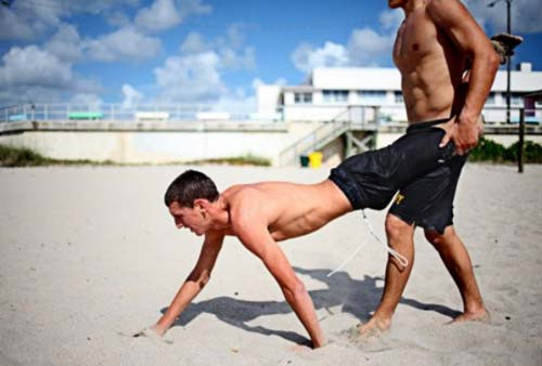 Lực lượng Navy SEAL số 6 từng tiêu diệt trùm khủng bố bin Laden. Họ thường được Chính phủ giao cho những nhiệm vụ vô cùng khó khăn và đã lập nên những chiến tích lớn cho Mỹ. Những nhân vật tinh nhuệ trong lực lượng biệt kích hải quân Mỹ. Navy SEAL trong bài tập với sóng biển đại dương. Những binh sĩ trong Navy SEAL nằm trong nước lạnh cắt da cắt thịt ở một bãi biển thuộc Coronado, California. Một bài tập của Navy SEAL. Hai đặc nhiệm Navy SEAL tập luyện ở Lake Worth, Florida. Các đặc nhiệm Navy SEAL trải qua tuần địa ngục khó khăn, bao gồm 132 giờ tập luyện gian khổ. Navy SEAL tập luyện trên bãi cát. Một trong những bài tập dưới nước của Navy SEAL, họ bị trói chân, trói tay khi luyện tập. Bài tập chịu hơi cay của lực lượng tinh nhuệ Navy SEAL. Có những lúc phải ngụy trang như thế này. Xem biệt kích hải quân Mỹ khổ luyện