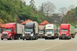 Xem xét phân cấp cho cấp tỉnh kiểm tra ATTP các lô hàng nhập khẩu