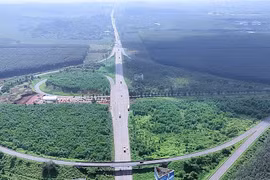 Nhà đầu tư chậm trễ thi công cao tốc Dầu Giây-Tân Phú dù đã có mặt bằng