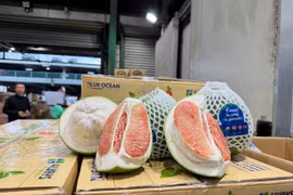 Lô bưởi tươi đầu tiên của Việt Nam xuất khẩu vào Úc đã đến tay người tiêu dùng