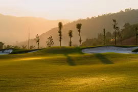 Doanh nghiệp nào vừa được Phú Thọ cho chuyển đổi 70ha đất rừng làm sân golf nghìn tỷ?