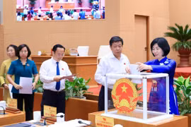 Hỗ trợ tối đa 20 triệu đồng cho người nghèo khi chuyển đổi xe xanh