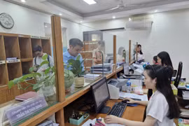 Hà Nội đã làm sạch hơn 1,5 triệu thửa đất đủ tiêu chí "Đúng-đủ-sạch-sống"