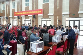 Nhiều xã ngoại thành tấp nập đấu giá đất cuối năm