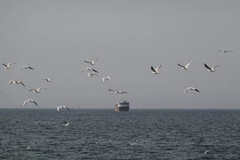 Đảm bảo an toàn cho 160 thuyền viên Việt Nam đang hoạt động ở khu vực Trung Đông 