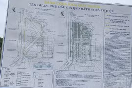 Giao hơn 7.400m2 đất cho Công ty Fortune xây nhà ở thấp tầng ở Thanh Trì