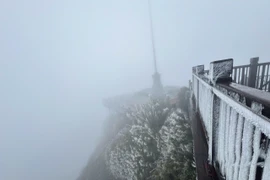 Đỉnh Fansipan xuống âm 3 độ C, băng giá phủ kín "nóc nhà Đông Dương"