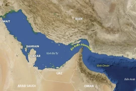 Có 6 tàu Việt Nam đang hoạt động ở khu vực eo biển Hormuz, đã được cảnh báo an toàn