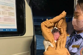 Một hành khách nhí vừa chào đời trên tàu Thống Nhất 