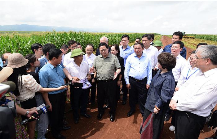 Thủ tướng Phạm Minh Chính trò chuyện với nông dân Hoàng Văn Thanh (bên trái) trên cánh đồng Đông Hiếu.