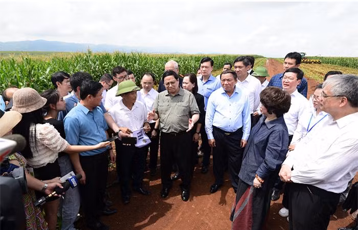 Thủ tướng Phạm Minh Chính trò chuyện với nông dân Hoàng Văn Thanh (bên trái) trên cánh đồng Đông Hiếu. Thủ tướng Phạm Minh Chính trò chuyện với nông dân Hoàng Văn Thanh (bên trái) trên cánh đồng Đông Hiếu.