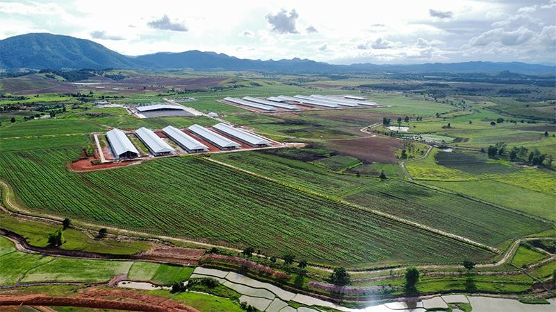 Khu vực chuồng trại đã được xây dựng hoàn tất, sẵn sàng đón các đàn bò sữa nhập khẩu đầu tiên về trang trại Khu vực chuồng trại đã được xây dựng hoàn tất, sẵn sàng đón các đàn bò sữa nhập khẩu đầu tiên về trang trại