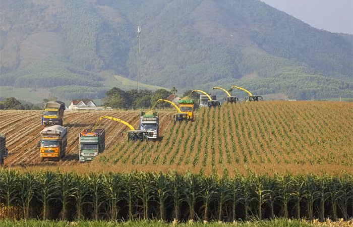Tập đoàn TH tiên phong ứng dụng công nghệ cao vào quy trình sản xuất thúc đẩy mô hình kinh tế xanh, kinh tế tuần hoàn. Tập đoàn TH tiên phong ứng dụng công nghệ cao vào quy trình sản xuất thúc đẩy mô hình kinh tế xanh, kinh tế tuần hoàn.