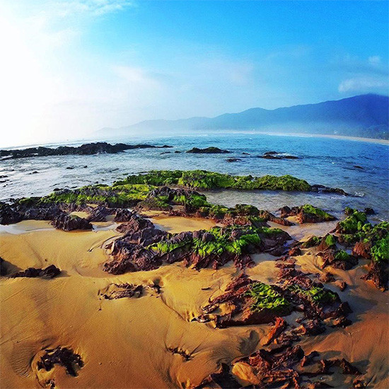 Ảnh: Nguyen Huy Thanh/ https://quynhontourist.com Ảnh: Nguyen Huy Thanh/ https://quynhontourist.com