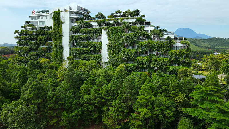 Sắc xanh độc bản kiêu hãnh của Flamingo - Ảnh: Hoàng Giang Huy Sắc xanh độc bản kiêu hãnh của Flamingo - Ảnh: Hoàng Giang Huy