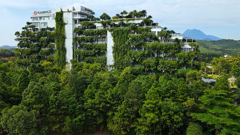 Sắc xanh độc bản kiêu hãnh của Flamingo - Ảnh: Hoàng Giang Huy