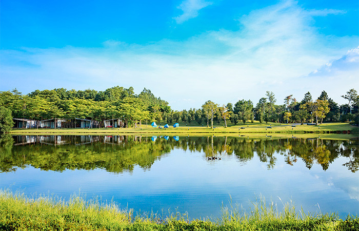 Cảnh sắc mùa thu căng tràn nắng ấm khơi gợi cảm hứng nghệ thuật - Ảnh: Nguyễn Năng Duy Cảnh sắc mùa thu căng tràn nắng ấm khơi gợi cảm hứng nghệ thuật - Ảnh: Nguyễn Năng Duy
