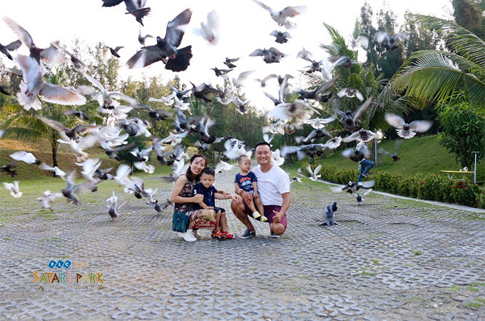 Du khách mua combo được miễn phí vé vào cửa Eo Gió, FLC Zoo Safari Park và ưu đãi tới 50% các dịch vụ 5*