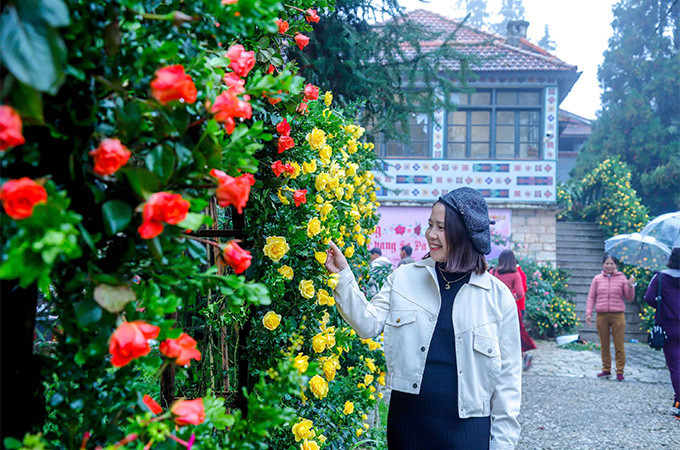 “Điểm check-in vạn người mê” tại Lễ hội hoa hồng và rượu vang Sa Pa 2020 “Điểm check-in vạn người mê” tại Lễ hội hoa hồng và rượu vang Sa Pa 2020